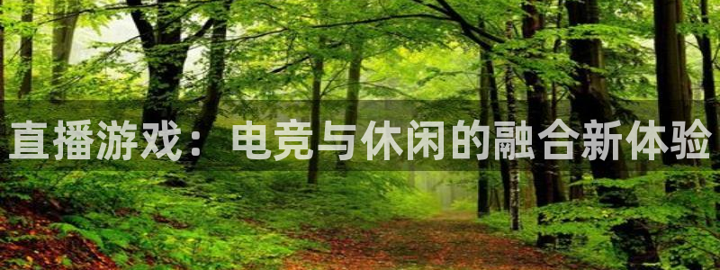 恩佐娱乐平台正规吗知乎：直播游戏：电竞与休闲的融合新体验