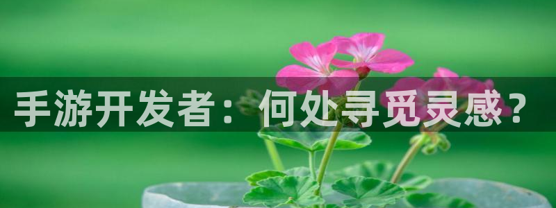 恩佐娱乐平台正规吗可靠吗：手游开发者：何处寻觅灵感？