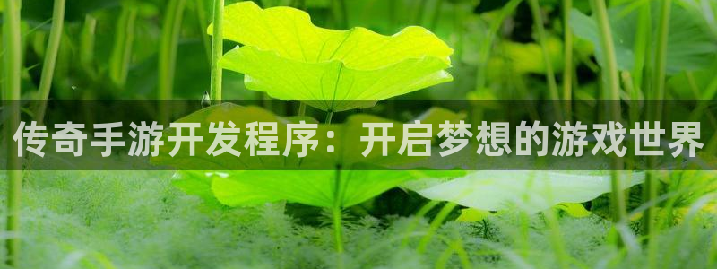 恩佐娱乐手机登录：传奇手游开发程序：开启梦想的游戏世界