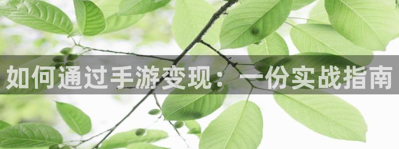 恩佐娱乐手机版最新功能介绍大全：如何通过手游变现：一份实战指
