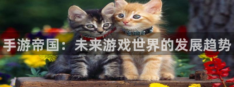 恩佐娱乐平台正规吗安全吗