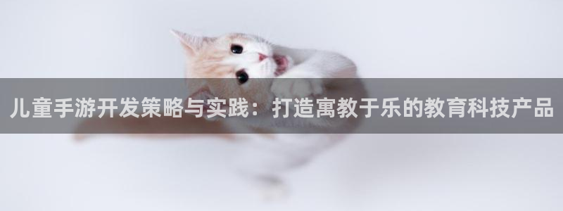恩佐娱乐手机版最新功能介绍大全：儿童手游开发策略与实践：打造