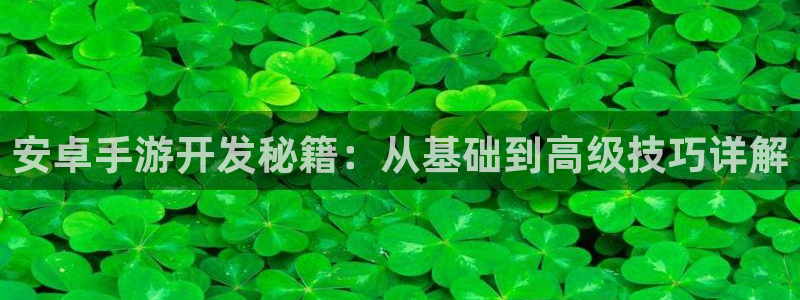 恩佐娱乐登陆：安卓手游开发秘籍：从基础到高级技巧详解