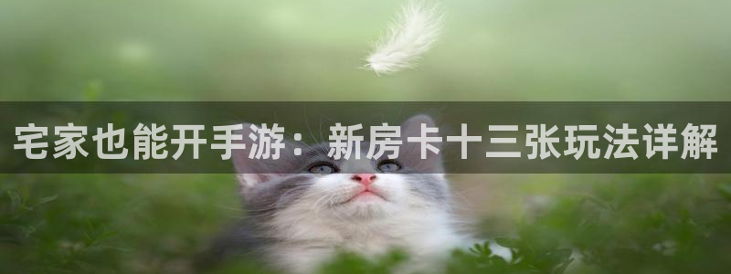 恩佐娱乐注册：宅家也能开手游：新房卡十三张玩法详解