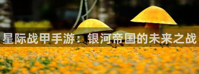 恩佐娱乐官方注册：星际战甲手游：银河帝国的未来之战