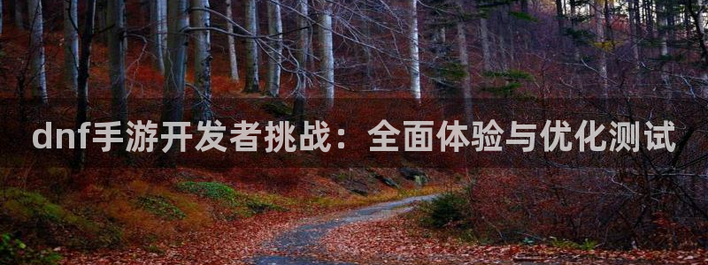 恩佐娱乐手机登录：dnf手游开发者挑战：全面体验与优化测试