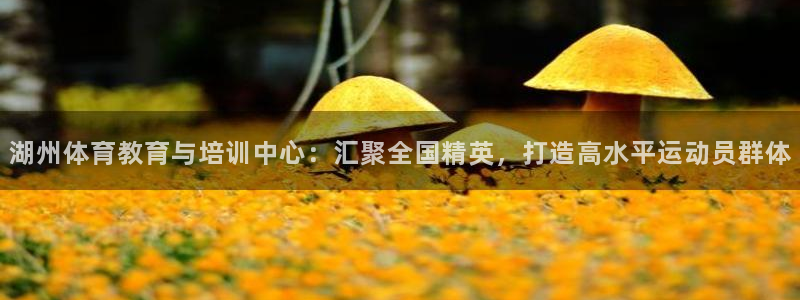 哈哈体育