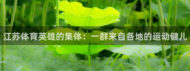 哈哈体育十年：江苏体育英雄的集体：一群来自各地的运动健儿