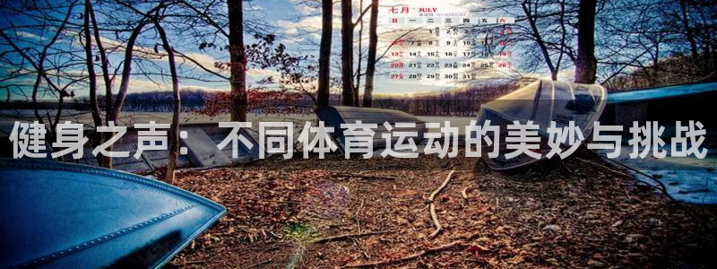 哈哈体育下载：健身之声：不同体育运动的美妙与挑战