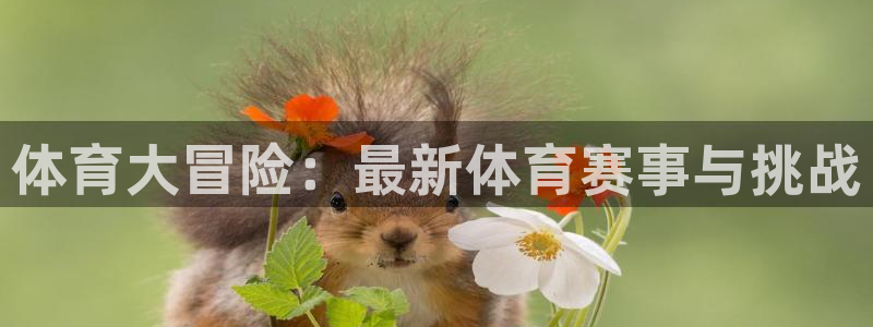 哈哈体育：体育大冒险：最新体育赛事与挑战