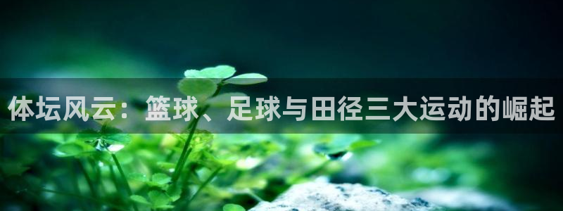 哈哈体育下载：体坛风云：篮球、足球与田径三大运动的崛起