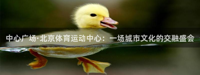 哈哈体育十年：中心广场·北京体育运动中心：一场城市文化的交融盛会