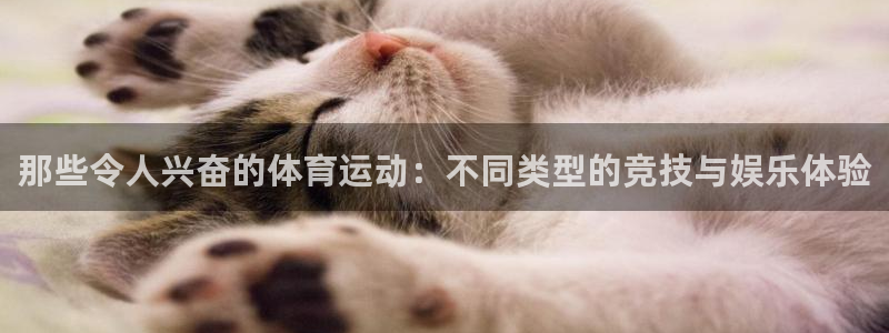 哈哈体育十年：那些令人兴奋的体育运动：不同类型的竞技与娱乐体验
