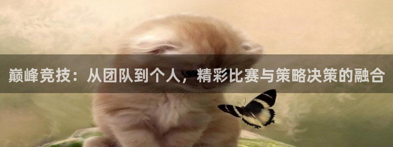 哈哈体育下载：巅峰竞技：从团队到个人，精彩比赛与策略决策的融合